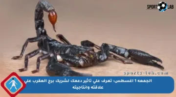 الجمعة 1 أغسطس: تعرف على تأثير دعمك لشريك برج العقرب على علاقته وإنتاجيته